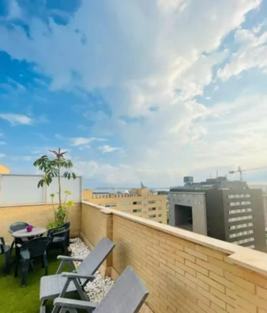 Ático con ascensor en venta en Avinguda Oscar Espla 3, imagen 22