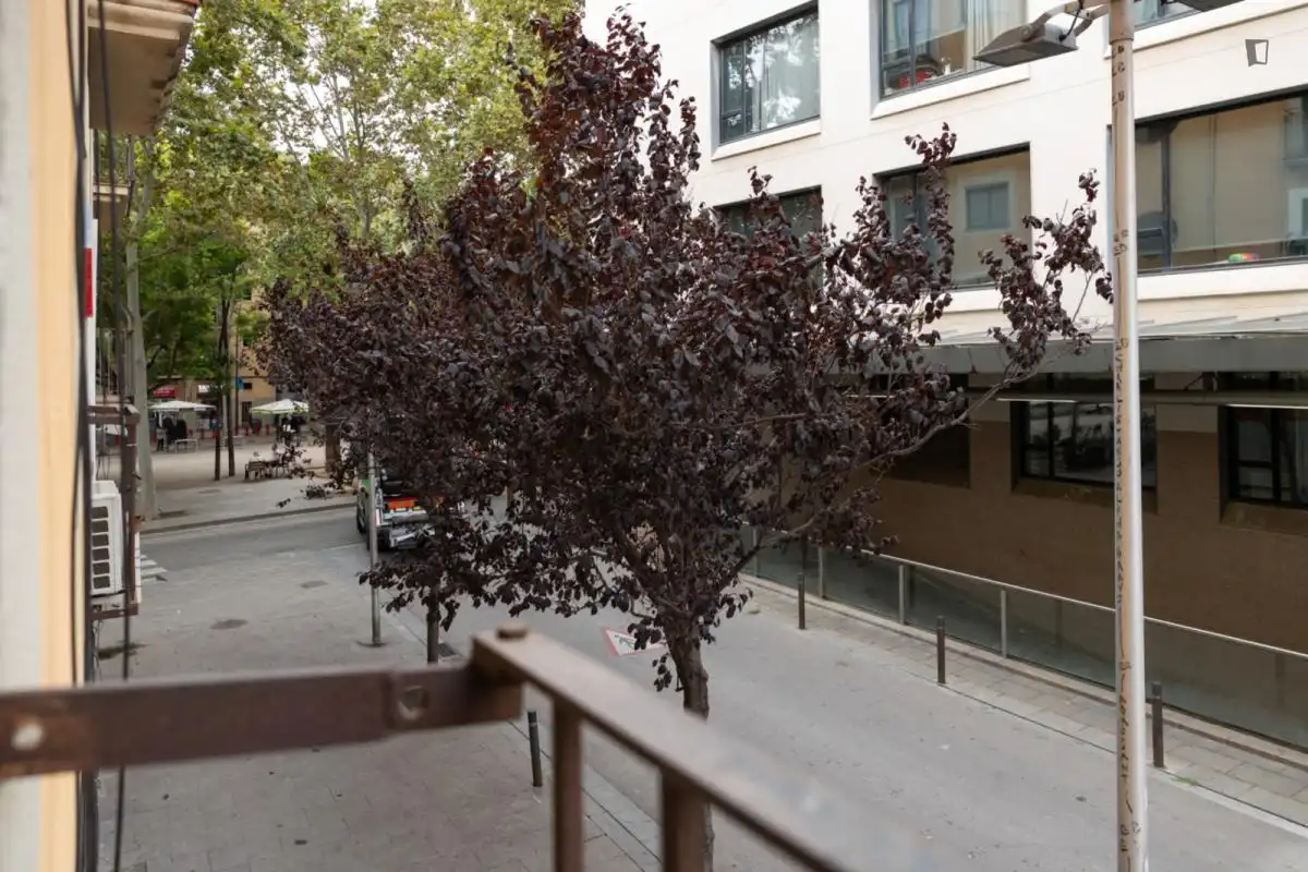Estudio de alquiler en El Raval