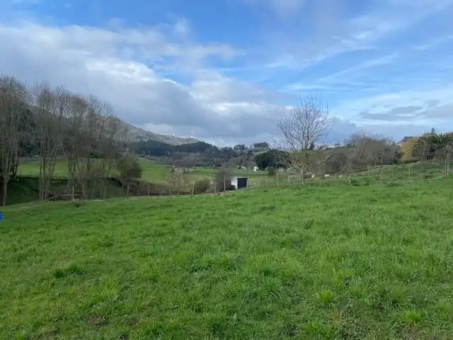 Terrenys i solars en venda a la cotera
