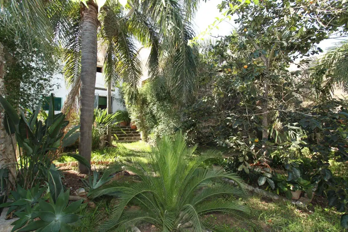 Houses for sale in La Pedrera - Vessanes