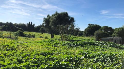 Finca con construcciones inscritas en el registro de la propiedad
