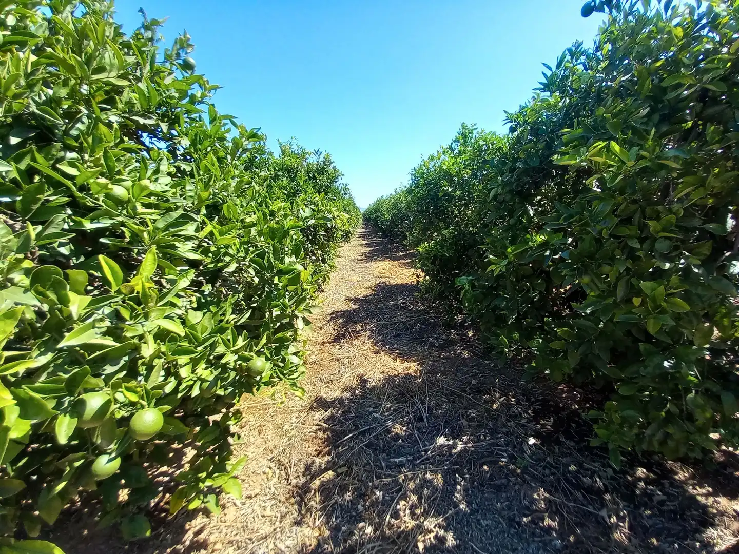Exterior view of Land for sale in Vinaròs