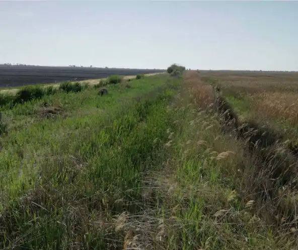 Finca rústica en venda en La Llosa