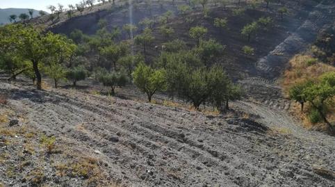 Foto 4 de Casa o chalet en venta en Nogalte, Murcia