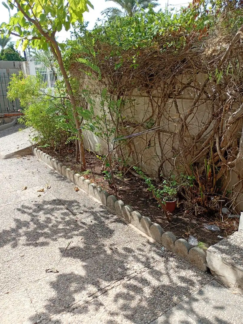 Bajo con jardín en venta en PUNTA BRAVA - URRUTIAS, imagen 2