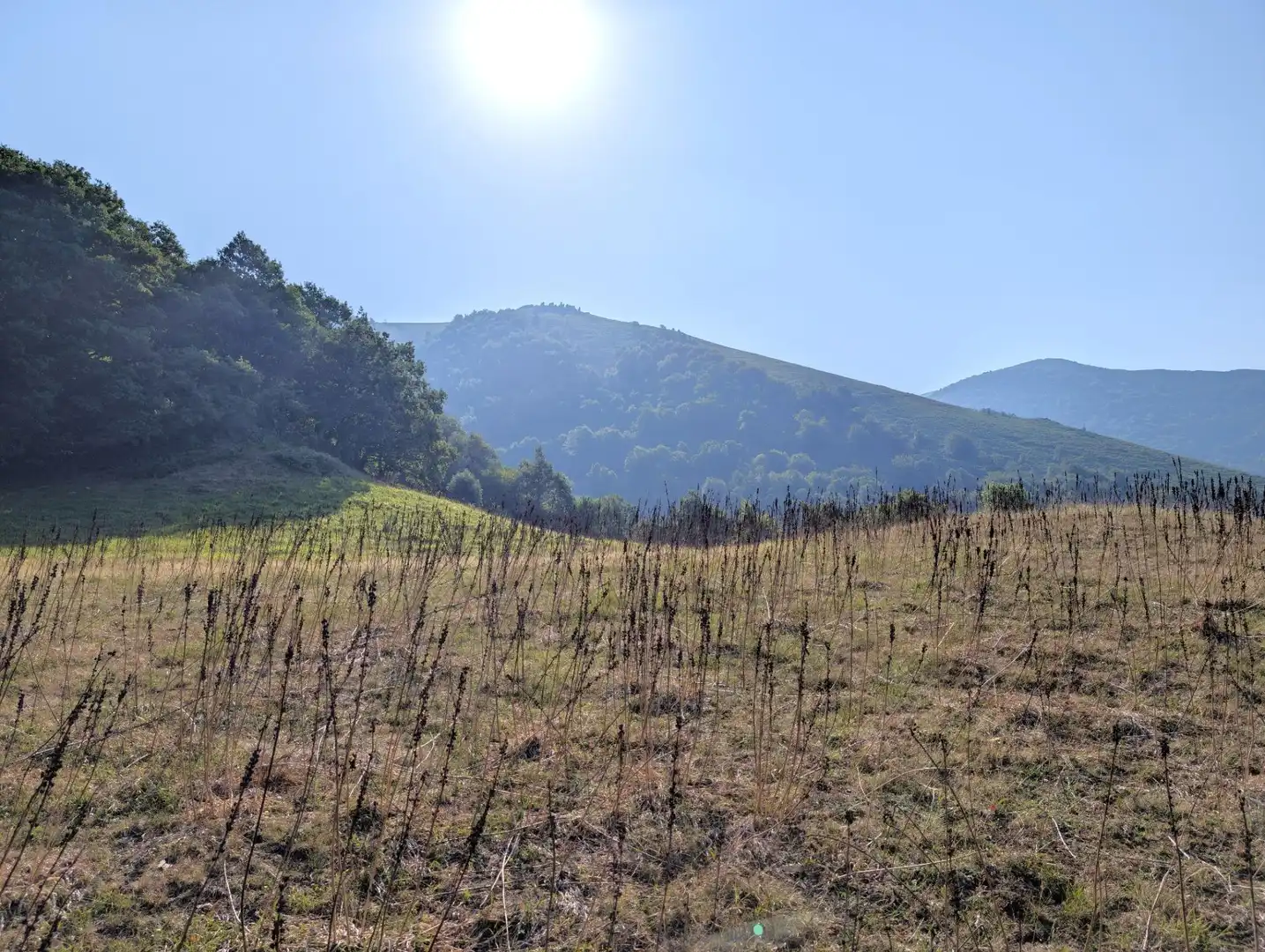 Casa o xalet en venda en Aller amb Jardí privat