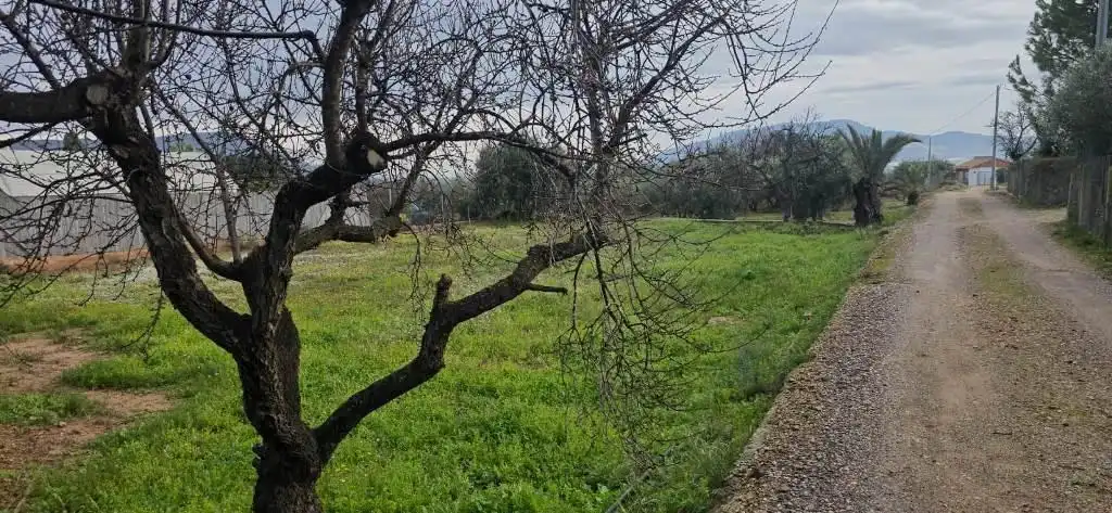 Haus zum Verkauf in Alhama de Murcia ciudad, imagen 14