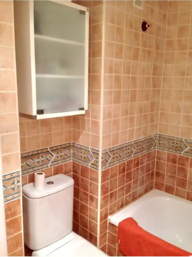 Bathroom of Flat for rent in Torrox  with Private garden, Swimming Pool and Furnished