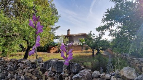 Foto 3 de Finca rústica en venda a Vall d'Alba, Castellón