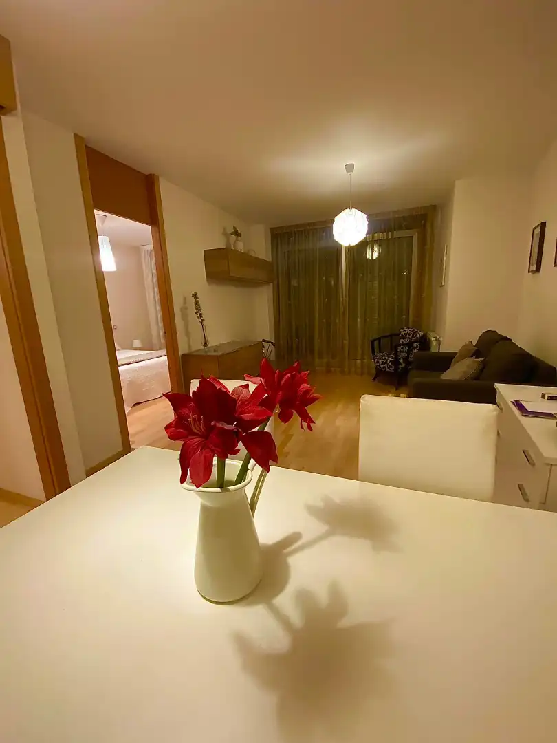 Sala d'estar de Pis en venda en Torrelavega  amb Calefacció, Parquet i Moblat