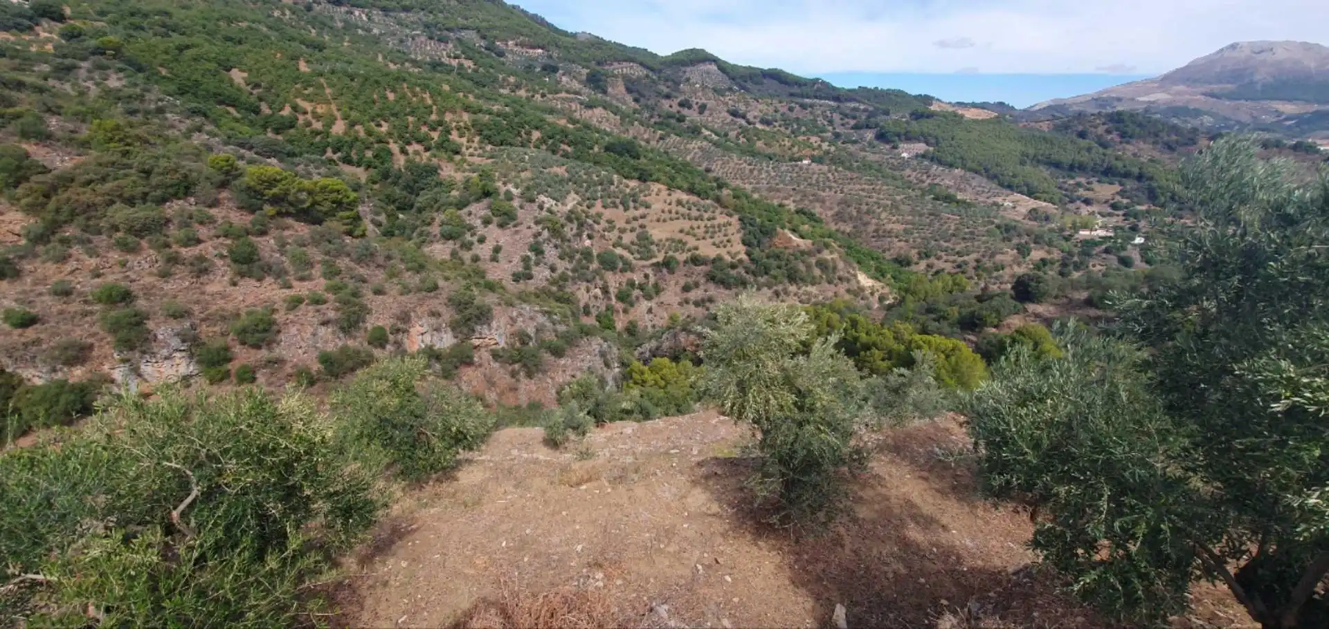 Terreni e lotti in vendita a Yunquera, imagen 16