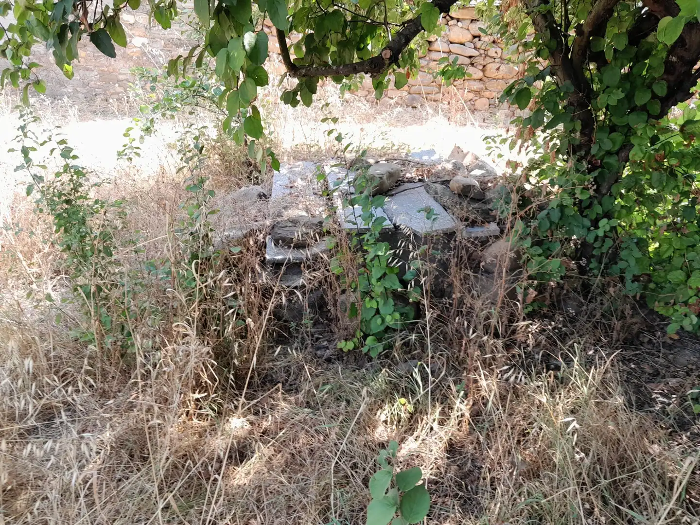 Finca rústica en venta en Congosto con Terraza