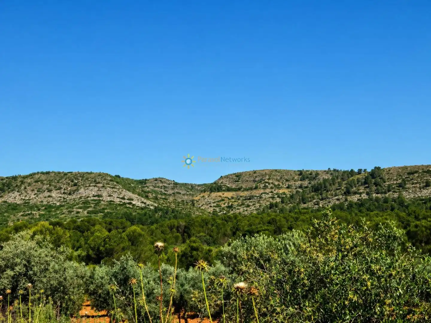 Terreno en venta en Bellús