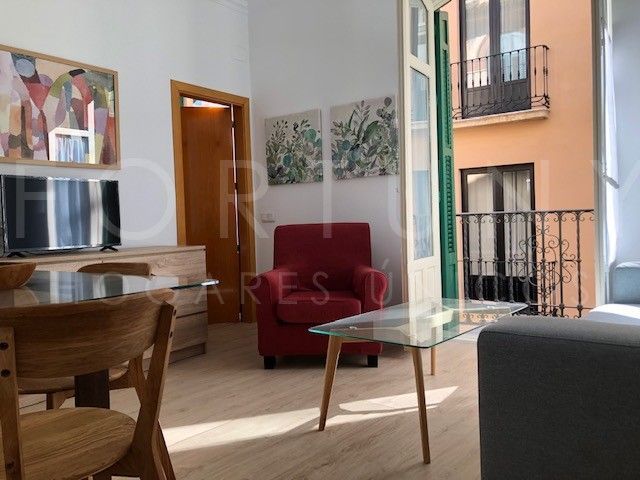Sala de estar de Apartamento de alquiler en Málaga Capital con Aire acondicionado, Amueblado y Horno