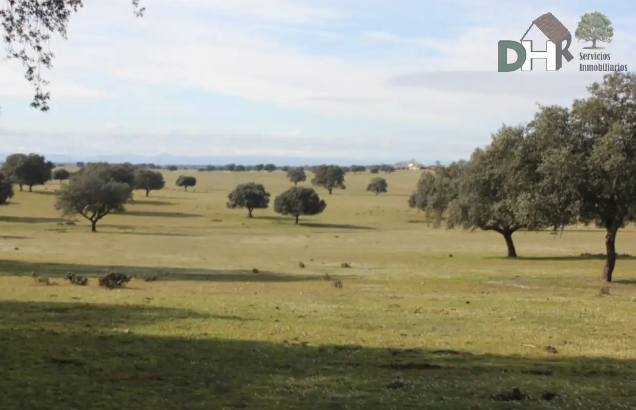 Terrenys i solars en venda a Los Cigarrales - La Bastida, imagen 2