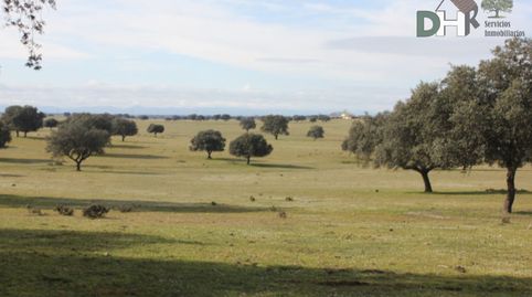 ToledoTerreno, imatge 2