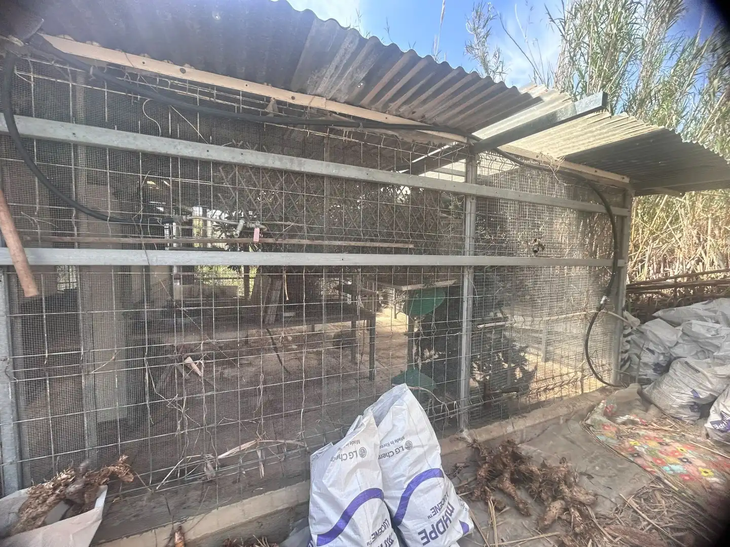 Vista exterior de Casa o xalet en venda en Sagunto / Sagunt amb Aire condicionat, Calefacció i Jardí privat