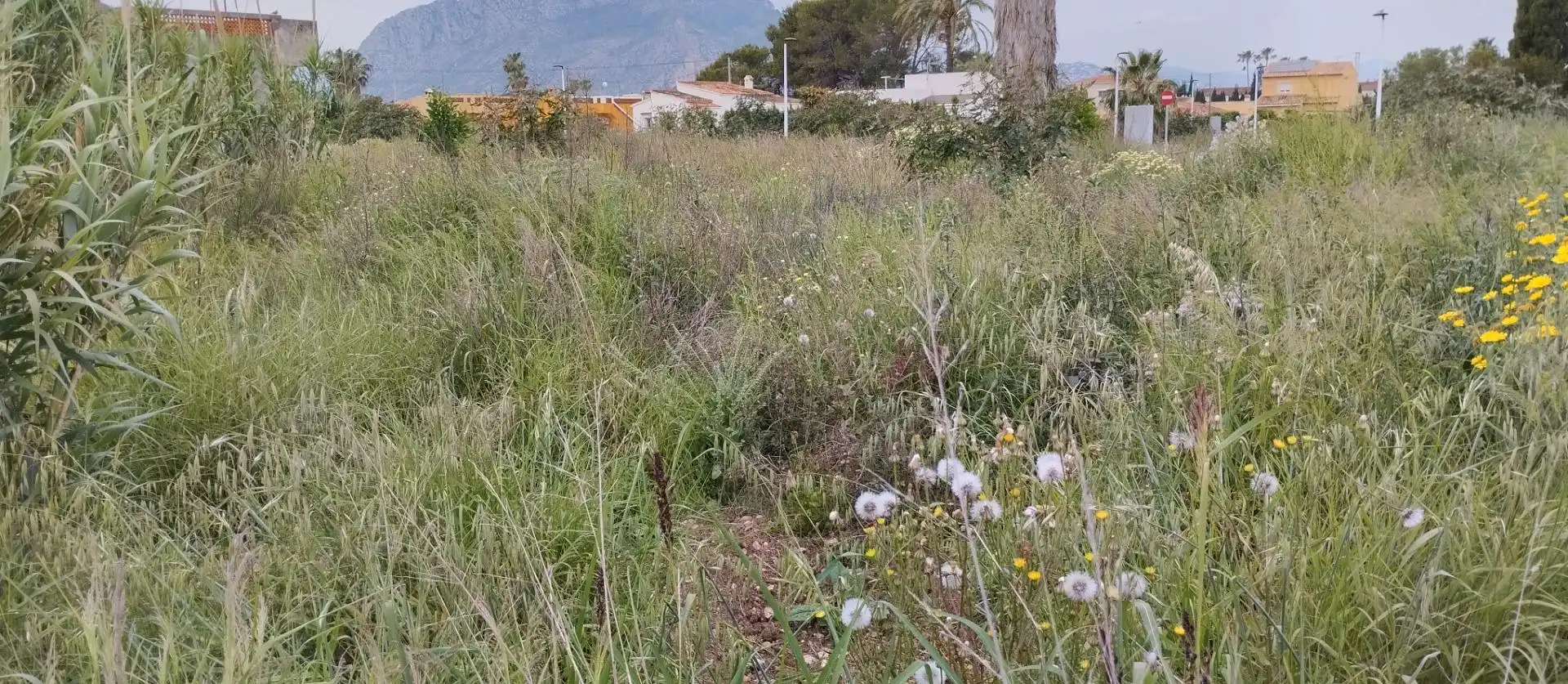 Residential for sale in Els Poblets