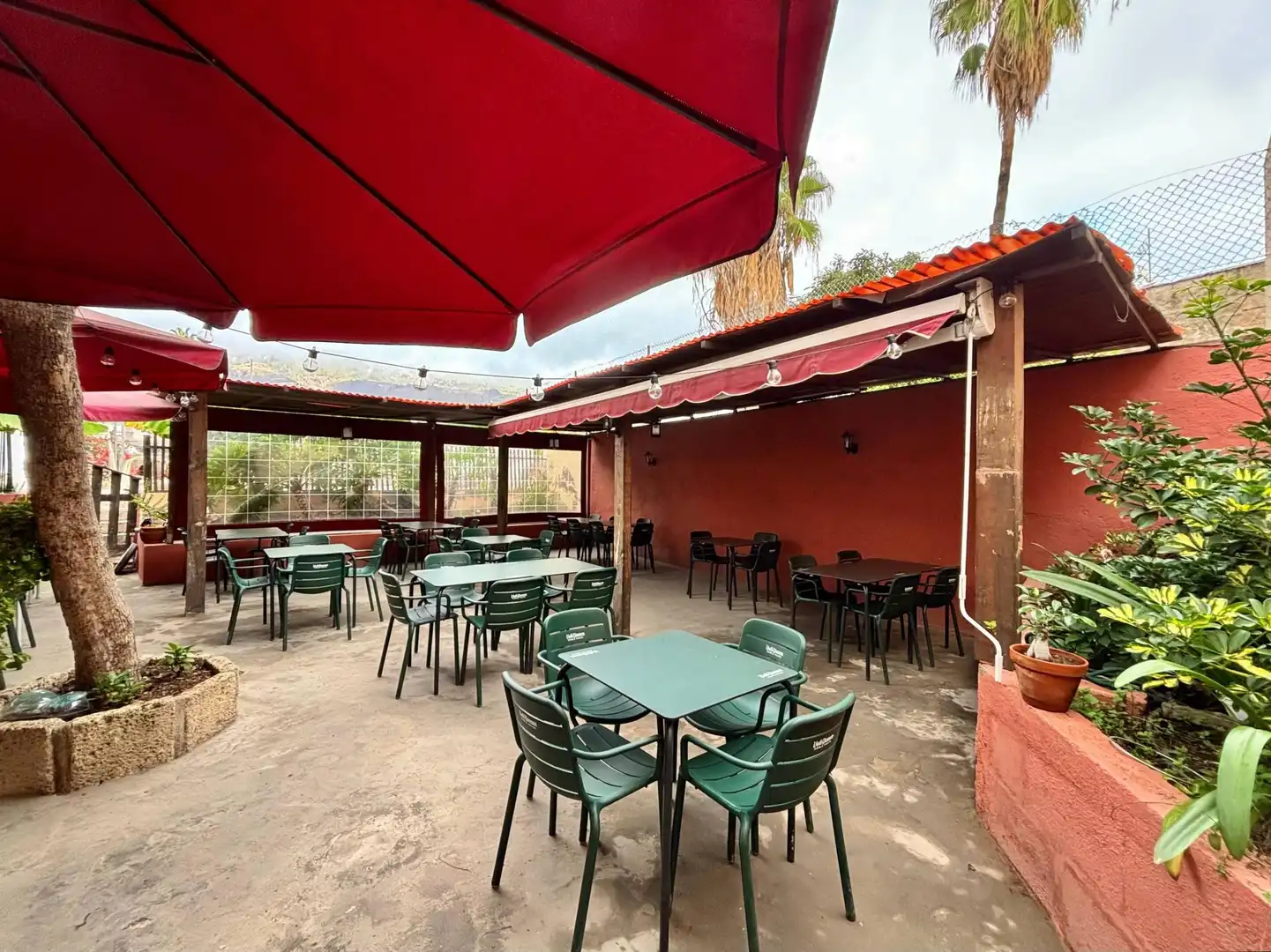 Terraza de Local de alquiler en Güímar