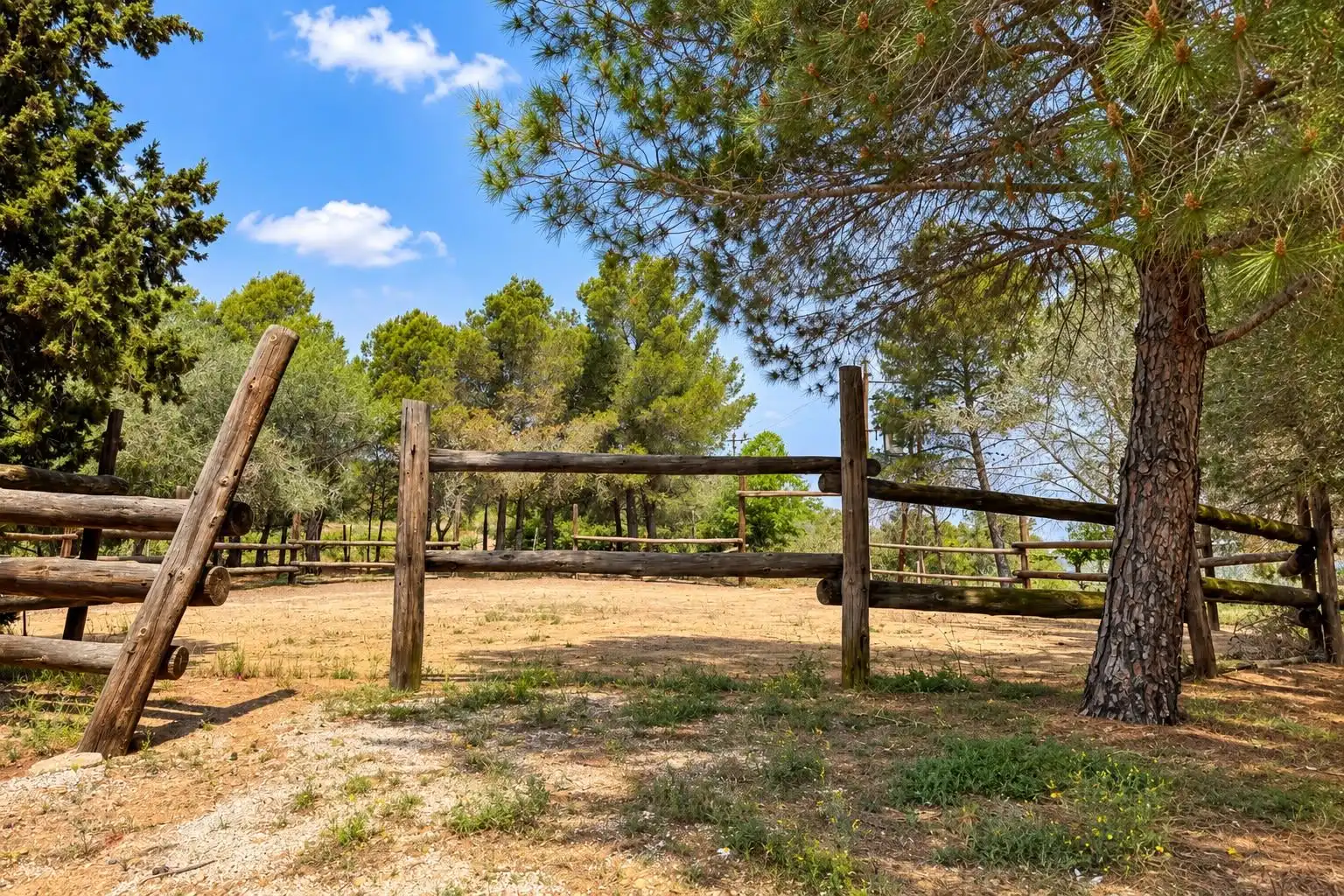 Landhaus mit Pool zum Verkauf in El Molar (Tarragona), imagen 26