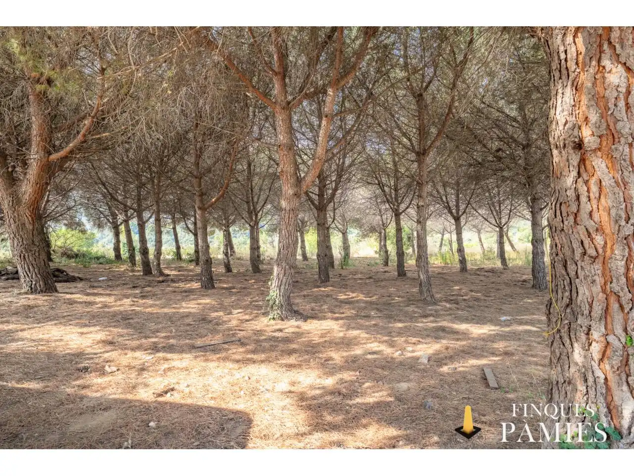 Casa o xalet en venda en Alforja amb Aire condicionat, Jardí privat i Terrassa