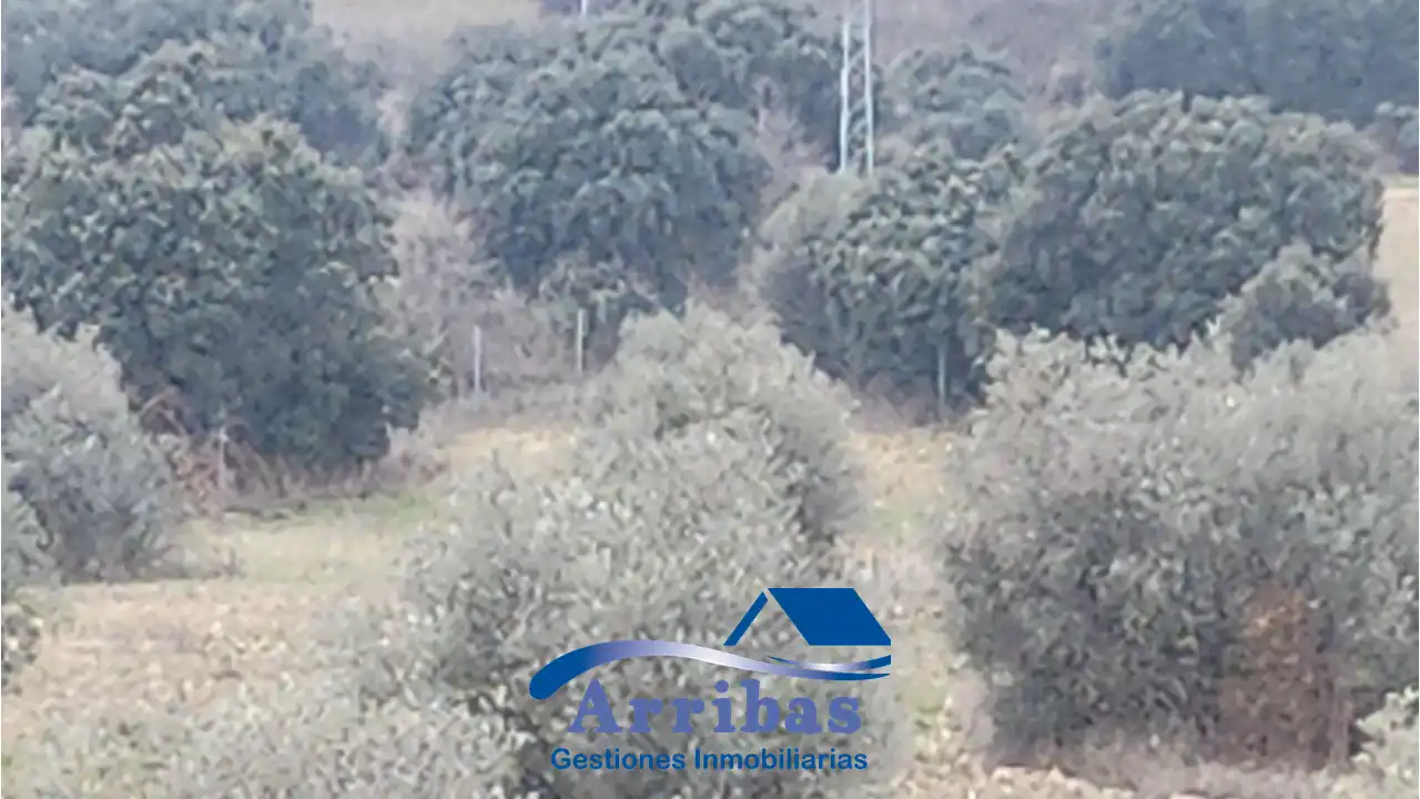 Country homes for sale in Escalona
