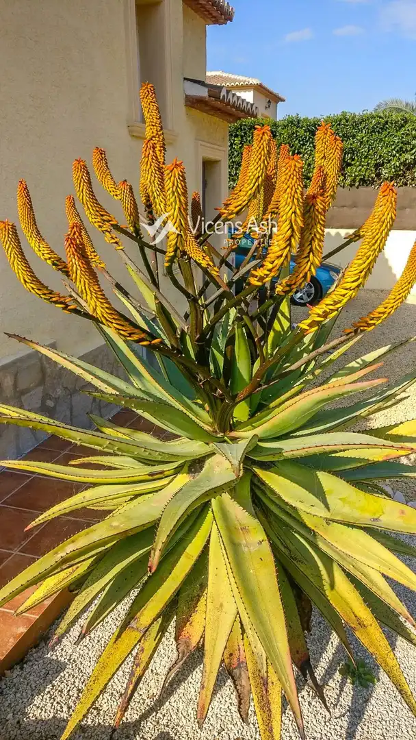 Garden of Houses for sale in Jávea / Xàbia  with Heating