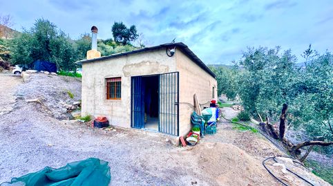 Finca de Olivos con Nave Agrícola en Picena, immagine 4