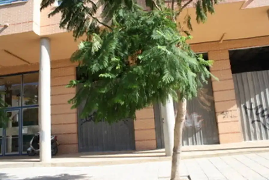 Parking à vendre à Orihuela ciudad, imagen 10
