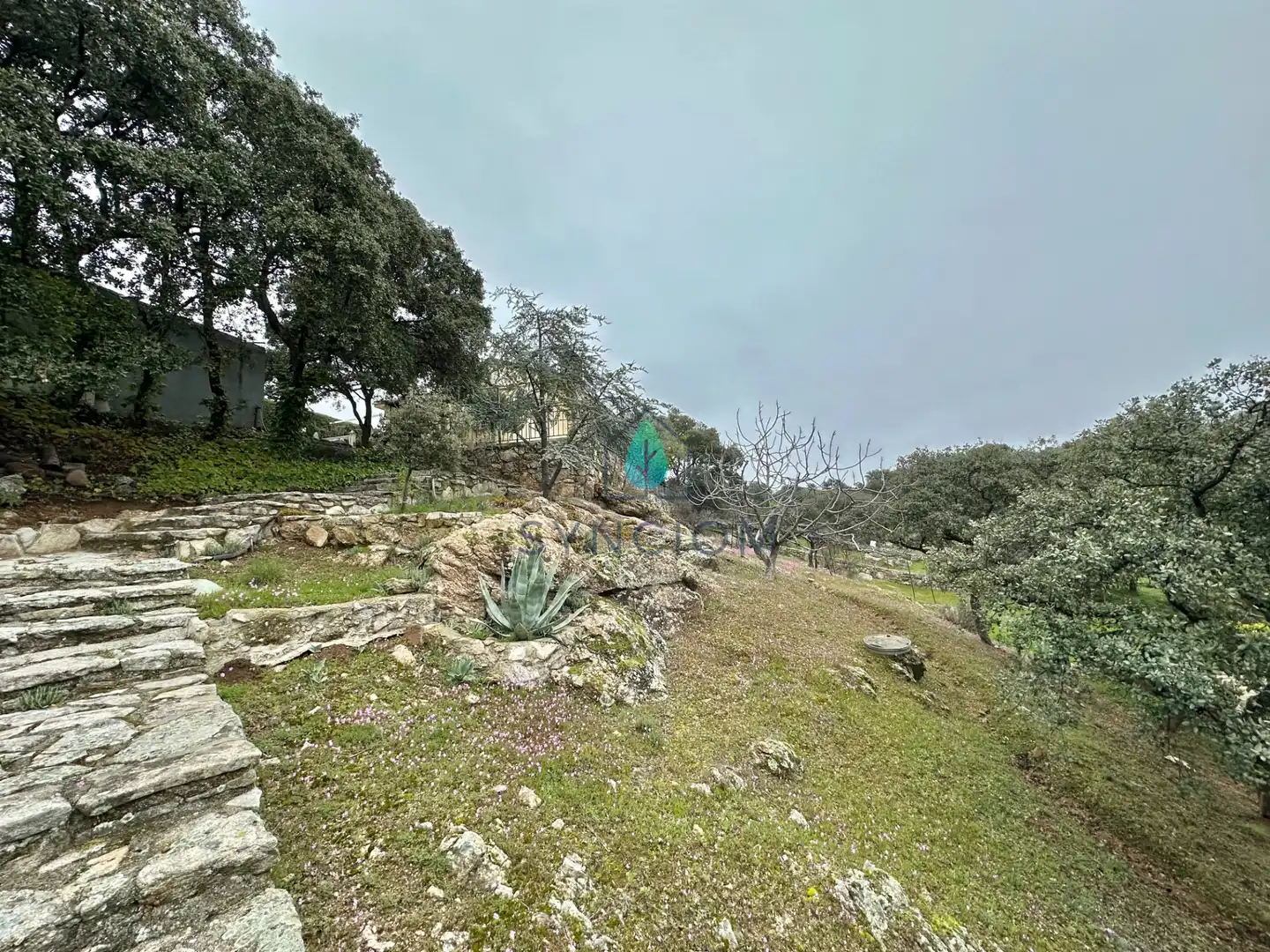 Casa o chalet en venta en Avenida de Peguerinos, Cerro Alarcón