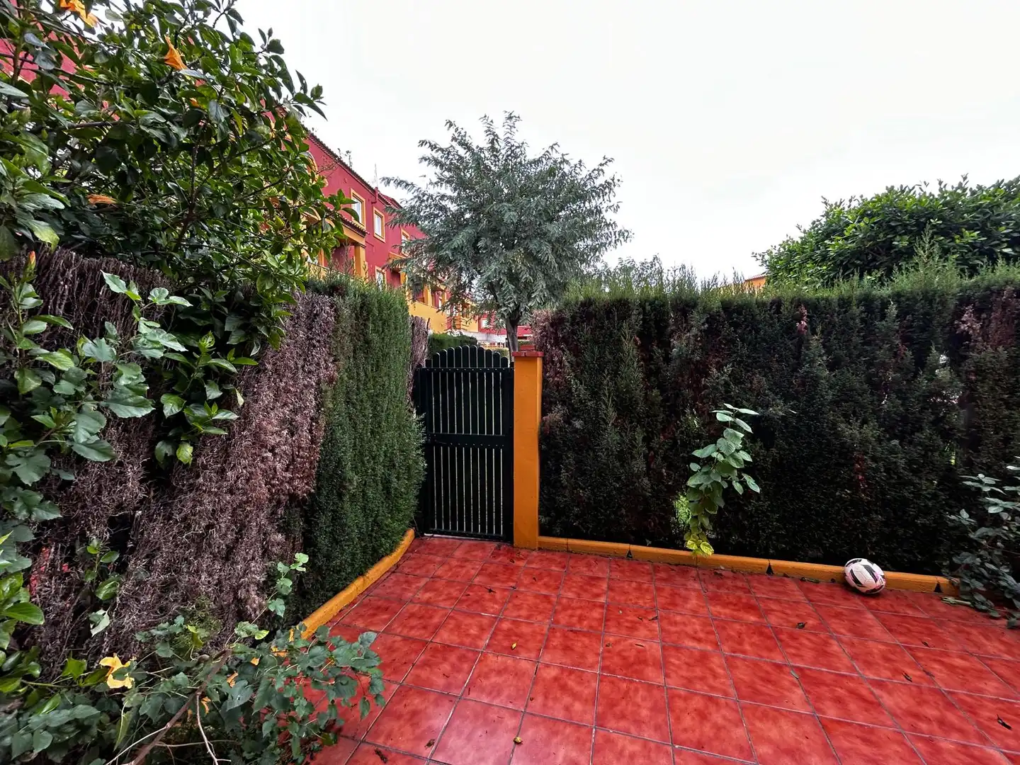 Garden of Duplexes for sale in Rota  with Private garden and Furnished