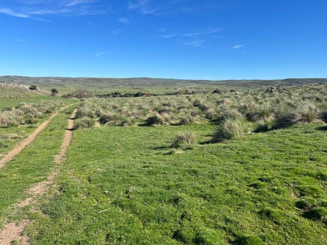 Terreno en Venta en Tornadizos de Ávila