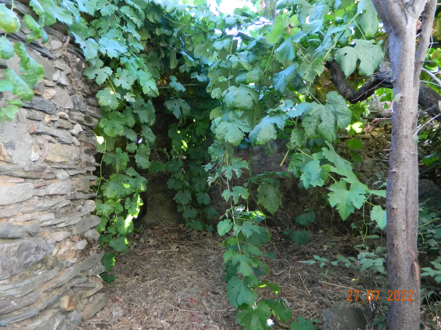 Reihenhaus mit Garten zum Verkauf in Calle Mártires 12, imagen 16