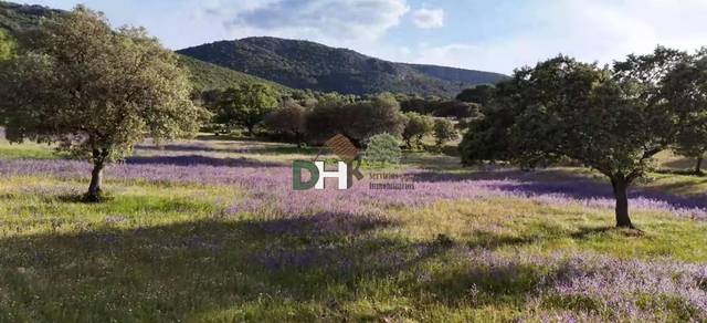 Terreno residencial en Venta en Nuevo Hospital