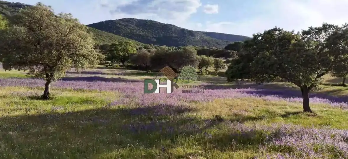 Terrenos y solares en venta en Nuevo Hospital