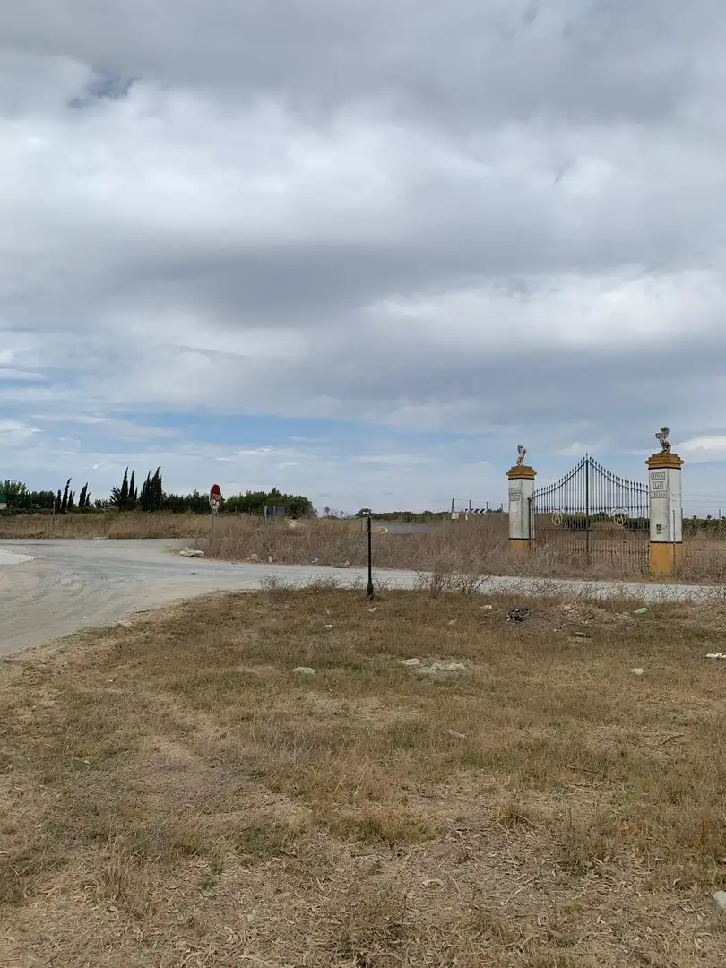 Terreni e lotti in vendita a Pedanías Norte