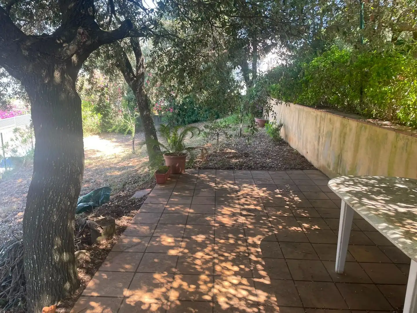 Jardín de Casa o chalet en venta en Pals con Terraza