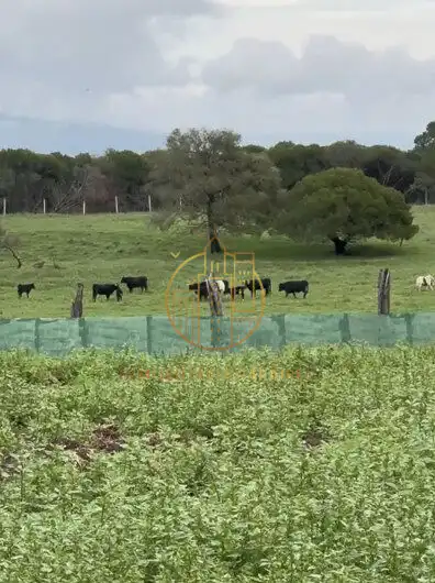 Rural land for sale in Murillo El Cuende, imagen 9