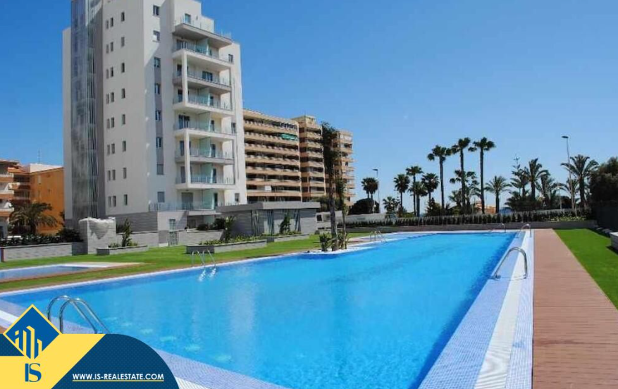 Swimming pool of House or chalet for sale in Torrevieja  with Terrace, Furnished and Community pool
