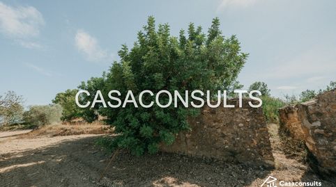 Foto 3 de Finca rústica en venda a Useras / Les Useres, Castellón