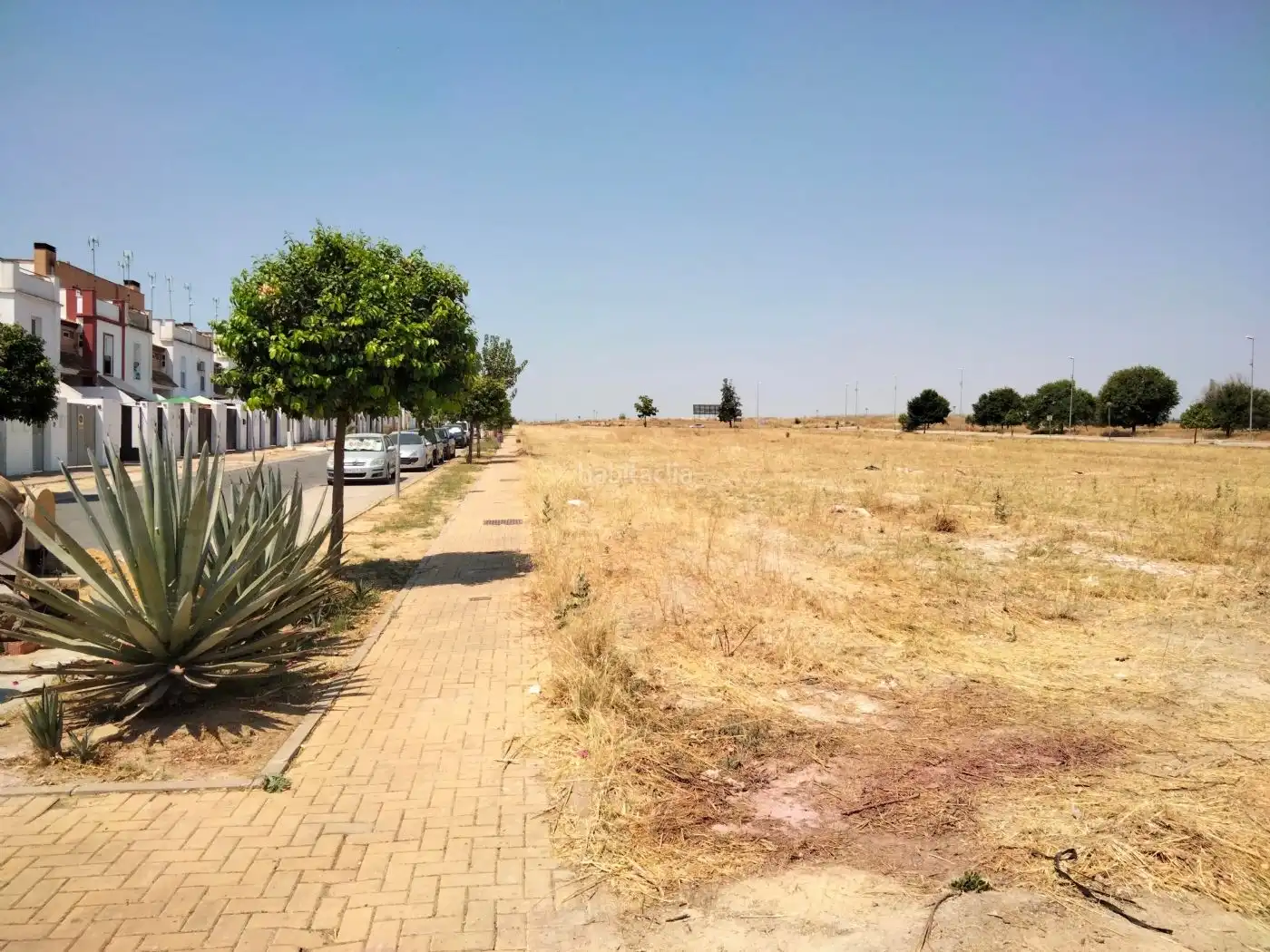Terreny residencial en venda a Calle Rosa Chacel 24, imagen 9