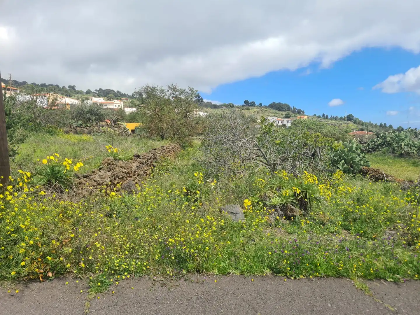 Residencial en venda en El Pinar de El Hierro, Santa Cruz de Tenerife