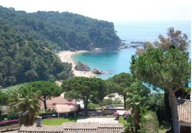 Terrenos y solares en venta en Canyelles, imagen 16