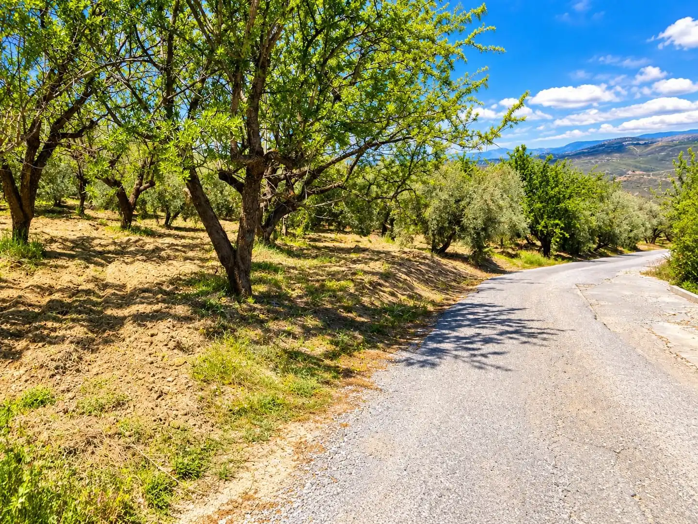 Maison rustique avec jardin à vendre à Carretera Fuente del Lobo Poligono, imagen 14