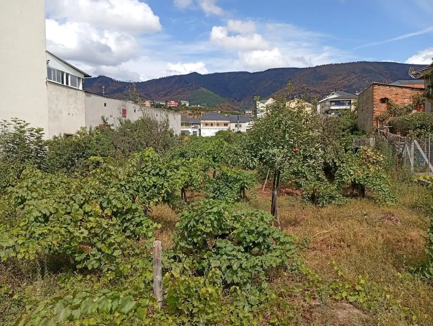 Residential for sale in A Rúa 