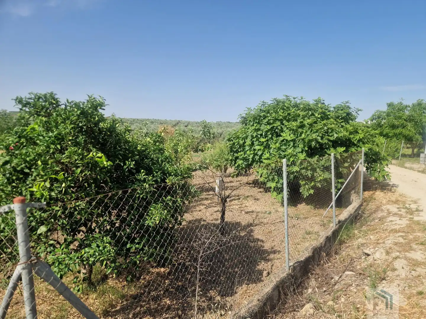 Terreni e lotti in vendita a Montilla, imagen 4
