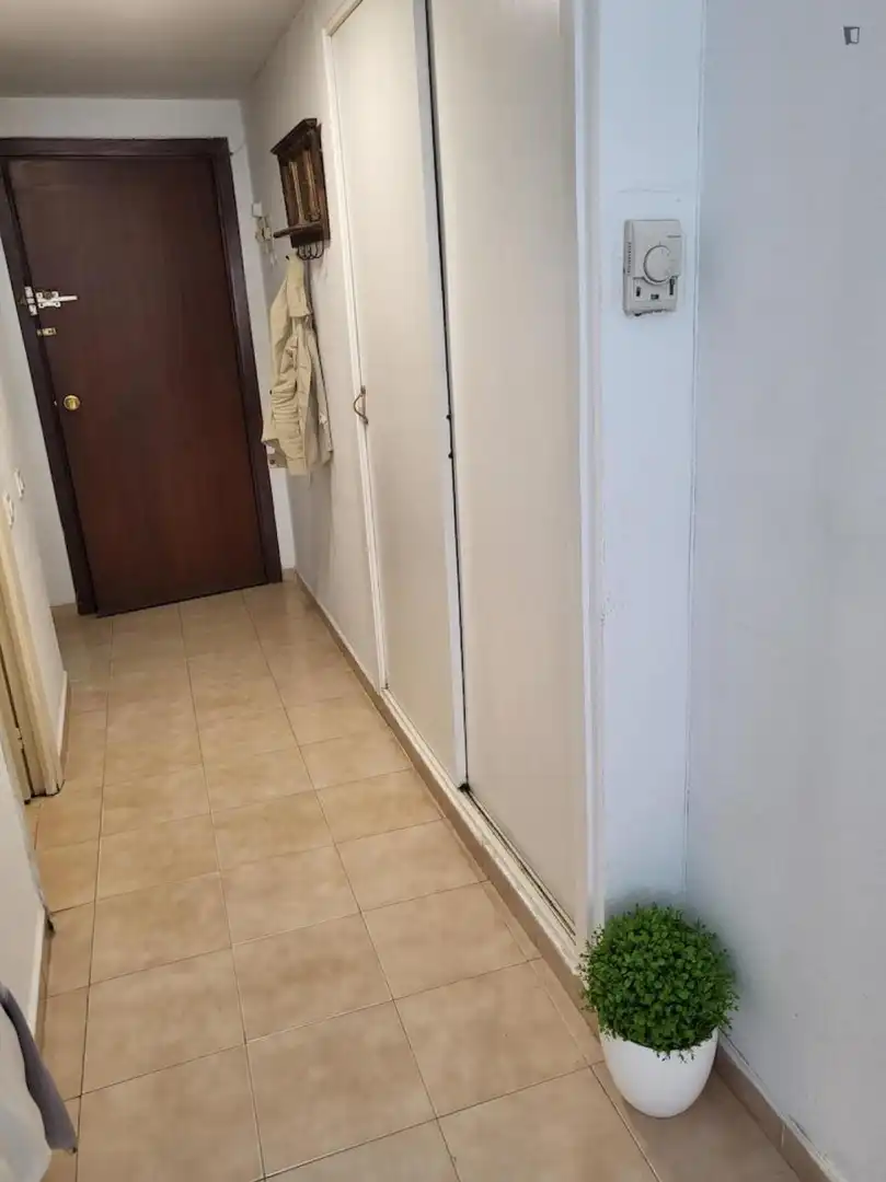 Wohnung zur Miete in Triana Este