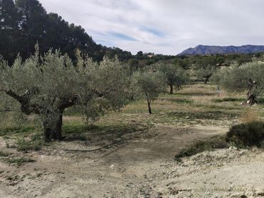 Maison rustique avec piscine à vendre à Relleu