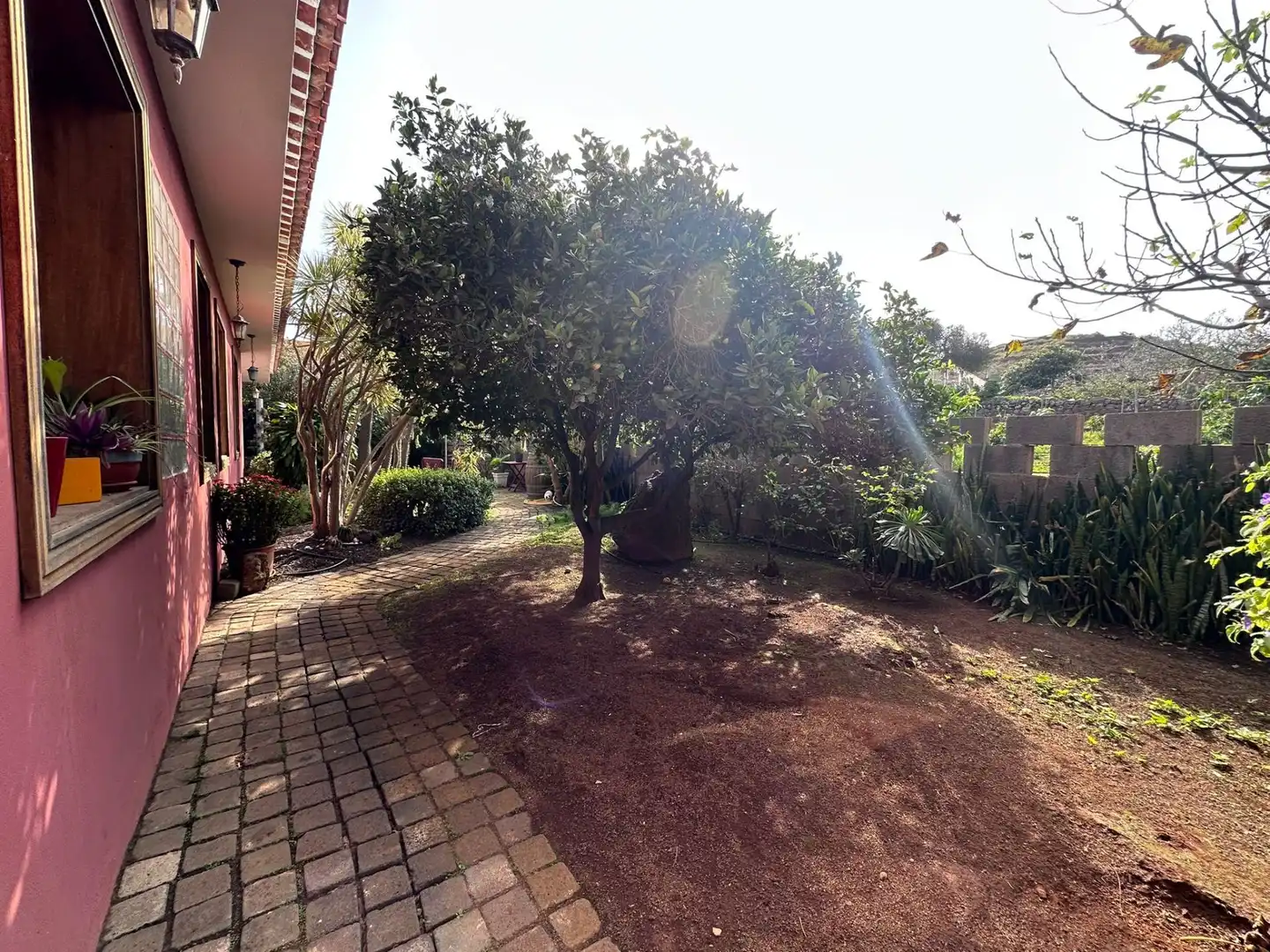 Houses for sale in Tegueste
