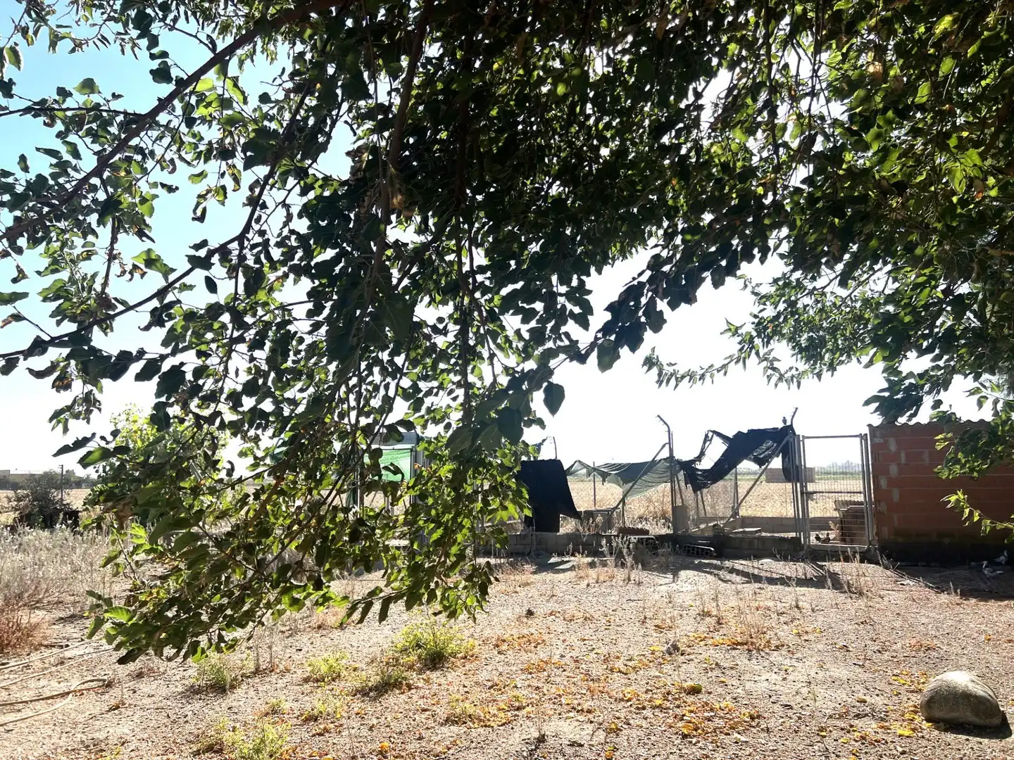 Chalet en venta en DISEMINADO, imagen 43